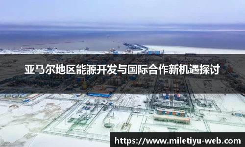 亚马尔地区能源开发与国际合作新机遇探讨